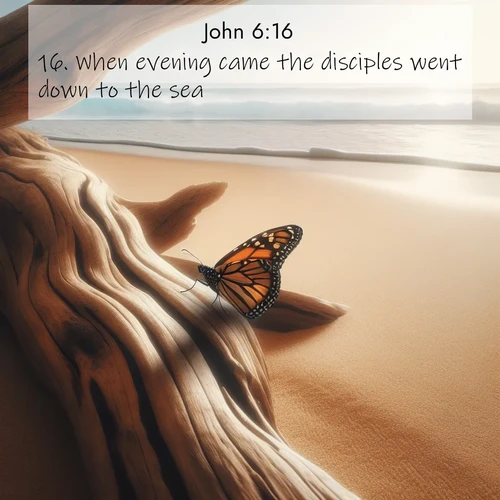 BasicEnglish Gospel of John  ; image nature: image with the bible verse :When evening came the disciples went down to the sea; ; Discover a rich selection of Bible verse images illustrated by natural landscapes like tranquil beaches, golden fields, and majestic trees. These images aim to capture the peace and beauty of God&#039;s creation, with vibrant colors and varied typography. Download and share inspiring verses like KJV Gospel of John 6:16. Current verse is overlayed with the thematic nature scene : A single monarch butterfly alights on a sun-bleached driftwood log. Waves crash endlessly on the empty beach beyond. ; 6:16