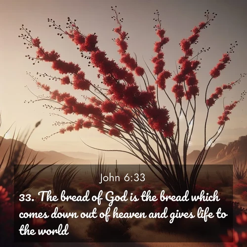 BasicEnglish Gospel of John  ; image nature: image with the bible verse :The bread of God is the bread which comes down out of heaven and gives life to the world. ; Explore an exceptional collection of Bible verse images accompanied by photos of nature, showcasing snowy mountains, serene forests, and still lakes. These images feature luminous tones and varied fonts to bring serenity and inspiration. Share uplifting verses like KJV Gospel of John 6:33. Current verse is overlayed with the thematic nature scene : Desert ocotillo flames crimson red. Wind sings through thorny branches. ; 6:33