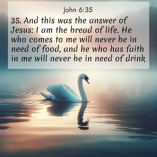 BasicEnglish Gospel of John  ; image nature: image with the bible verse :And this was the answer of Jesus: I am the bread of life. He who comes to me will never be in need of food, and he who has faith in me will never be in need of drink. ; Admire our gallery of Bible verse images paired with serene nature photography, featuring starlit skies, golden sands, and blooming wildflowers. Download and share verses like KJV Gospel of John 6:35. Current verse is overlayed with the thematic nature scene : A single swan glides across a misty lake. Dawn paints the water in pastels. ; 6:35