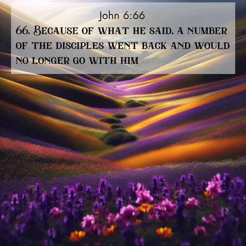 BasicEnglish Gospel of John  ; image nature: image with the bible verse :Because of what he said, a number of the disciples went back and would no longer go with him. ; Explore Bible verses paired with beach photos, where waves gently crash on the sand and the sky glows with pastel hues at sunset. These scenes convey deep serenity. Download verses like KJV Gospel of John 6:66. Current verse is overlayed with the thematic nature scene : Spring wildflowers carpet rolling hills in purple and gold. ; 6:66