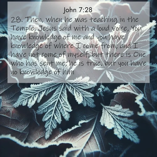 BBE Gospel of John 7:28 overlaying nature image scene: Winter frost creates delicate patterns on fallen leaves.;28. Then, when he was teaching in the Temple, Jesus said with a loud voice, You have knowledge of me and you have knowledge of where I come from; and I have not come of myself; but there is One who has sent me; he is true, but you have no knowledge of him.