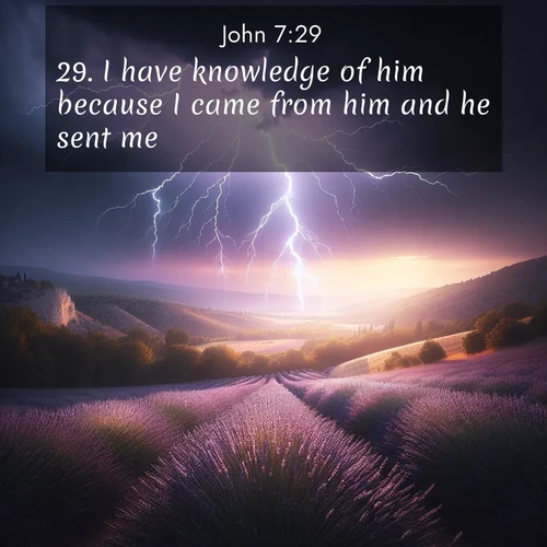 BBE Gospel of John 7:29 overlaying nature image scene: Lightning illuminates a field of lavender in the Provence countryside. Thunder rolls across the valley like distant drums.;29. I have knowledge of him because I came from him and he sent me.