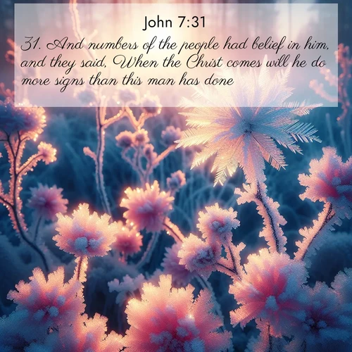 BasicEnglish Gospel of John  ; image nature: image with the bible verse :And numbers of the people had belief in him, and they said, When the Christ comes will he do more signs than this man has done? ; Admire our gallery of Bible verse images paired with serene nature photography, featuring starlit skies, golden sands, and blooming wildflowers. Download and share verses like KJV Gospel of John 7:31. Current verse is overlayed with the thematic nature scene : Morning light reveals frost flowers. Rainbow crystals bloom on bare branches. ; 7:31
