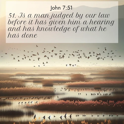 BBE Gospel of John 7:51 overlaying nature image scene: Spring migration fills marshlands with calling birds.;51. Is a man judged by our law before it has given him a hearing and has knowledge of what he has done?