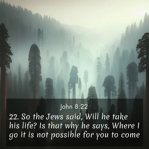 BBE Gospel of John 8:22 overlaying nature image scene: Ancient sequoias pierce through valley fog. Centuries of growth reach for filtered light.;22. So the Jews said, Will he take his life? Is that why he says, Where I go it is not possible for you to come?
