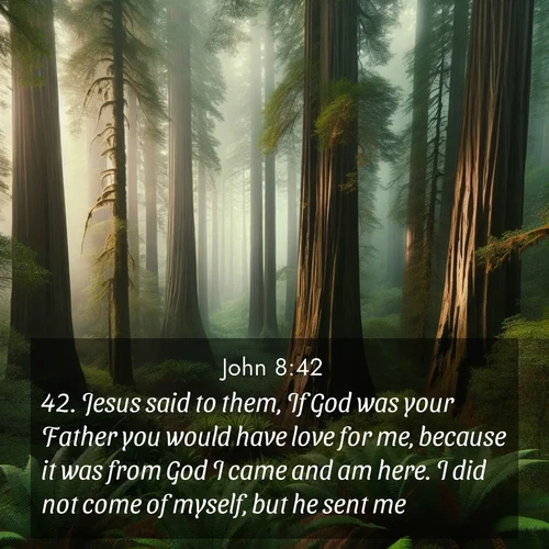 BBE Gospel of John 8:42 overlaying nature image scene: Coastal redwoods disappear into the fog high above a fern grove.;42. Jesus said to them, If God was your Father you would have love for me, because it was from God I came and am here. I did not come of myself, but he sent me.
