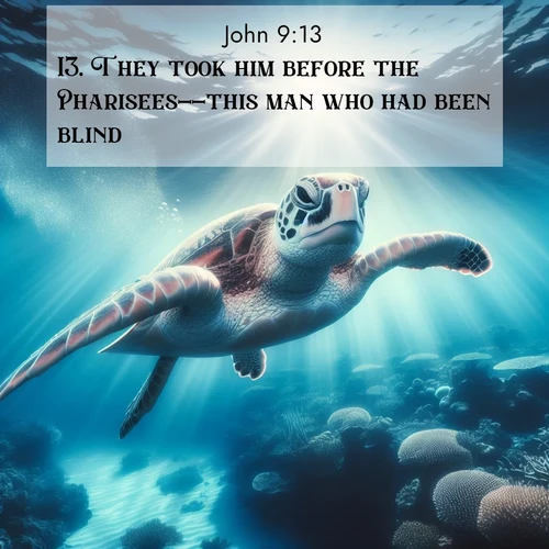BasicEnglish Gospel of John  ; image nature: image with the bible verse :They took him before the Pharisees--this man who had been blind. ; Browse our collection of Bible verses paired with captivating photos of God’s creation, like crystal-clear lakes, majestic cliffs, and colorful skies. All images are free for download and sharing. Verse examples include KJV Gospel of John 9:13. Current verse is overlayed with the thematic nature scene : A sea turtle glides through underwater sunbeams. Coral gardens glow in the depths below. ; 9:13