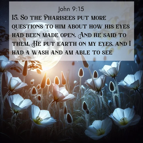 BasicEnglish Gospel of John  ; image nature: image with the bible verse :So the Pharisees put more questions to him about how his eyes had been made open. And he said to them, He put earth on my eyes, and I had a wash and am able to see. ; Explore Bible verse images highlighting the beauty of spring, with vibrant flowers, butterflies, and blossoming fruit trees. These scenes evoke divine hope and renewal. Download inspiring verses like KJV Gospel of John 9:15. Current verse is overlayed with the thematic nature scene : Moonflowers open to the rising full moon. Night insects hum in harmony. ; 9:15