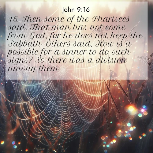 BasicEnglish Gospel of John  ; image nature: image with the bible verse :Then some of the Pharisees said, That man has not come from God, for he does not keep the Sabbath. Others said, How is it possible for a sinner to do such signs? So there was a division among them. ; Download Bible verse images featuring vibrant photos of nature, from snowy landscapes to golden deserts. These free images are perfect for phone wallpapers, desktop backgrounds, or sharing. Verses include KJV Gospel of John 9:16. Current verse is overlayed with the thematic nature scene : Morning fog reveals spider web galaxies. Dew drops catch rainbow light. ; 9:16