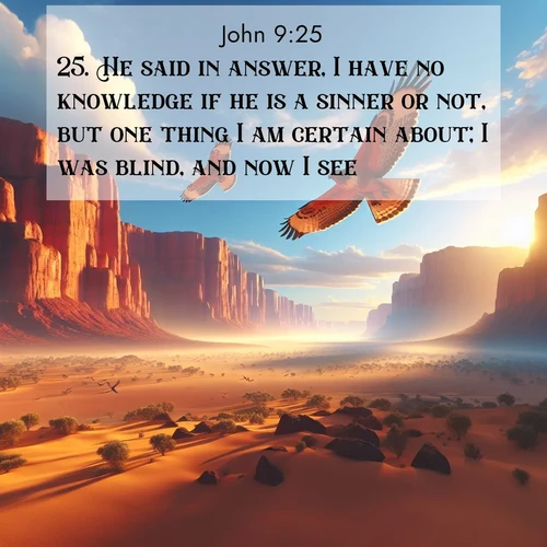 BasicEnglish Gospel of John  ; image nature: image with the bible verse :He said in answer, I have no knowledge if he is a sinner or not, but one thing I am certain about; I was blind, and now I see. ; Discover Bible images capturing the splendor of deserts, with golden dunes, vast skies, and peaceful oases. These landscapes highlight the grandeur and serenity of God&#039;s creation. Share verses like KJV Gospel of John 9:25. Current verse is overlayed with the thematic nature scene : Desert hawks soar thermal currents. Red cliffs catch golden light. ; 9:25