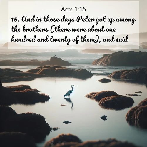 BBE Acts 1:15 overlaying nature image scene: A great blue heron fishes in tidal pools. Waves crash on distant reefs.;15. And in those days Peter got up among the brothers (there were about one hundred and twenty of them), and said,