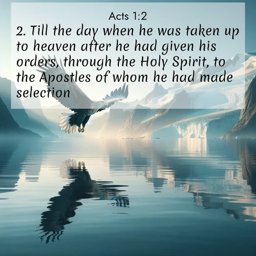 BBE 44 1:2