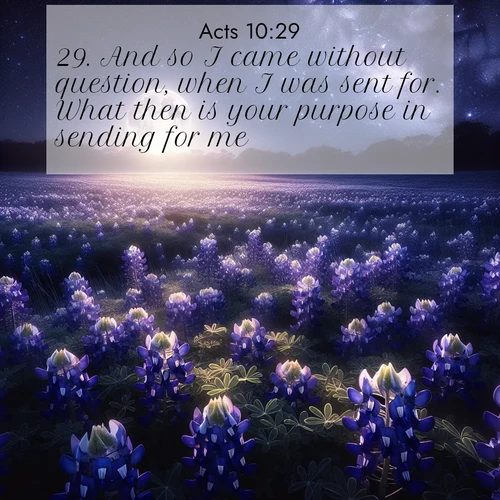 BasicEnglish Acts  ; image nature: image with the bible verse :And so I came without question, when I was sent for. What then is your purpose in sending for me? ; Dive into our collection of Bible verses paired with coastal scenes, featuring calming waves, infinite beaches, and reflections of the sun on the water. These images evoke the peace and beauty of God. Share verses like KJV Acts 10:29. Current verse is overlayed with the thematic nature scene : Moonlight illuminates a field of bluebonnets. A warm breeze carries their sweet fragrance across the prairie. ; 10:29