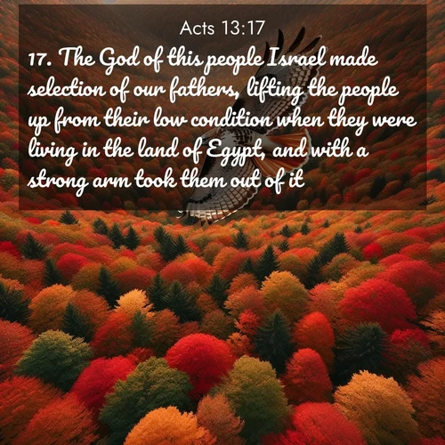 BBE Acts 13:17 overlaying nature image scene: A red-tailed hawk circles above autumn woods. Leaves below form a mosaic of fire.;17. The God of this people Israel made selection of our fathers, lifting the people up from their low condition when they were living in the land of Egypt, and with a strong arm took them out of it.