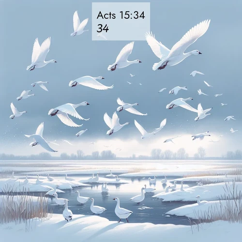 BasicEnglish Acts  ; image nature: image with the bible verse :[] ; Discover beautiful Bible verse images that combine inspiring scripture with captivating nature photos. Download high-quality images featuring lush valleys, peaceful streams, and endless horizons like KJV Acts 15:34. Current verse is overlayed with the thematic nature scene : Snow geese take flight from a winter marsh. Their wings flash white against leaden skies. ; 15:34