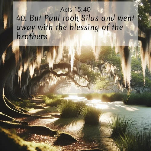 BasicEnglish Acts  ; image nature: image with the bible verse :But Paul took Silas and went away with the blessing of the brothers. ; Admire Bible verse images illustrated by summer photos, such as sunny beaches, sparkling waves, and swaying palm trees. These bright scenes highlight the joy and warmth of God&#039;s creation. Download and share verses like KJV Acts 15:40. Current verse is overlayed with the thematic nature scene : Summer afternoon light filters through Spanish moss in a bayou. ; 15:40