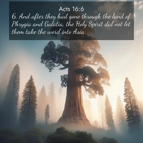 BasicEnglish Acts  ; image nature: image with the bible verse :And after they had gone through the land of Phrygia and Galatia, the Holy Spirit did not let them take the word into Asia; ; Dive into our collection of Bible verses paired with coastal scenes, featuring calming waves, infinite beaches, and reflections of the sun on the water. These images evoke the peace and beauty of God. Share verses like KJV Acts 16:6. Current verse is overlayed with the thematic nature scene : A giant sequoia reaches through morning fog. Centuries of growth stretch skyward in silent majesty. ; 16:6