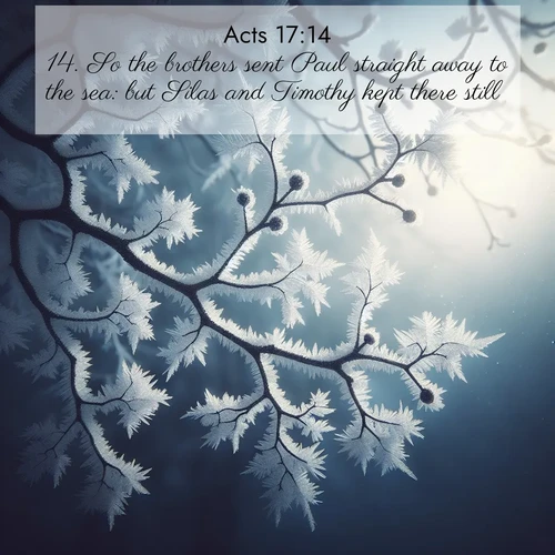 BasicEnglish Acts  ; image nature: image with the bible verse :So the brothers sent Paul straight away to the sea: but Silas and Timothy kept there still. ; Admire Bible verse images illustrated by summer photos, such as sunny beaches, sparkling waves, and swaying palm trees. These bright scenes highlight the joy and warmth of God&#039;s creation. Download and share verses like KJV Acts 17:14. Current verse is overlayed with the thematic nature scene : Winter frost coats bare branches in delicate crystal. ; 17:14