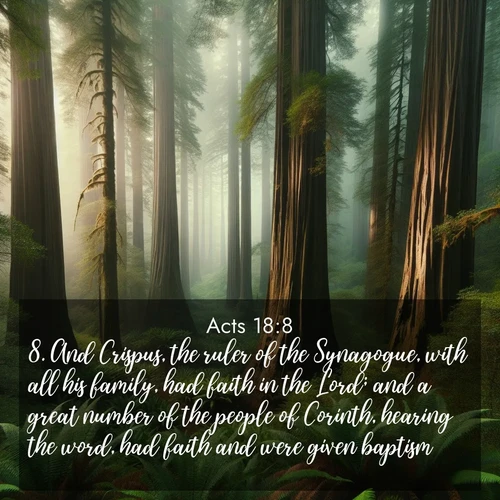 BasicEnglish Acts  ; image nature: image with the bible verse :And Crispus, the ruler of the Synagogue, with all his family, had faith in the Lord; and a great number of the people of Corinth, hearing the word, had faith and were given baptism. ; Admire Bible verse images illustrated by summer photos, such as sunny beaches, sparkling waves, and swaying palm trees. These bright scenes highlight the joy and warmth of God&#039;s creation. Download and share verses like KJV Acts 18:8. Current verse is overlayed with the thematic nature scene : Coastal redwoods disappear into the fog high above a fern grove. ; 18:8