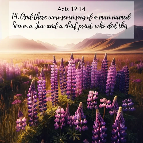 BasicEnglish Acts  ; image nature: image with the bible verse :And there were seven sons of a man named Sceva, a Jew and a chief priest, who did this. ; Explore a unique collection of Bible verses illustrated by winter landscapes, such as snowy mountains, frosty forests, and starry skies. These images capture the peace and beauty of winter. Share verses like KJV Acts 19:14. Current verse is overlayed with the thematic nature scene : Wild lupines paint purple meadows. Snow lingers on distant peaks. ; 19:14