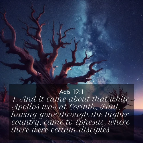 BasicEnglish Acts  ; image nature: image with the bible verse :And it came about that while Apollos was at Corinth, Paul, having gone through the higher country, came to Ephesus, where there were certain disciples: ; Access a vast collection of Bible verse images illustrated with natural landscapes like calm rivers, blooming fields, and bright horizons. These images emphasize the serenity and splendor of God&#039;s creation, accompanied by aesthetic fonts and joyful colors. Download verses like KJV Acts 19:1 and share them. Current verse is overlayed with the thematic nature scene : Ancient bristlecone pines twist toward stars. Time stands still in their presence. ; 19:1