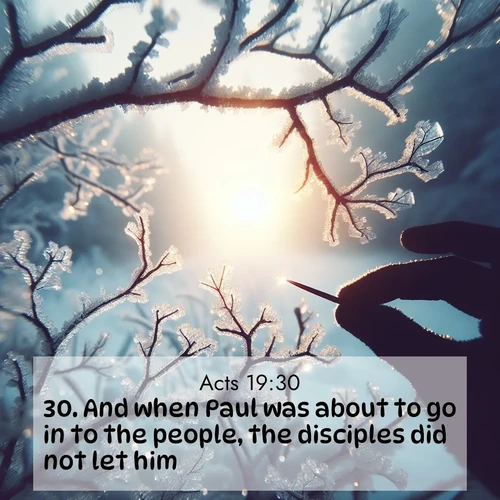 BasicEnglish Acts  ; image nature: image with the bible verse :And when Paul was about to go in to the people, the disciples did not let him. ; Download stunning Bible verse images paired with nature scenes like rolling clouds, sparkling waters, and vibrant flower fields. These free images are perfect for spiritual reflection or wallpaper use. Share KJV Acts 19:30. Current verse is overlayed with the thematic nature scene : Winter sunrise glows through ice-coated branches. ; 19:30