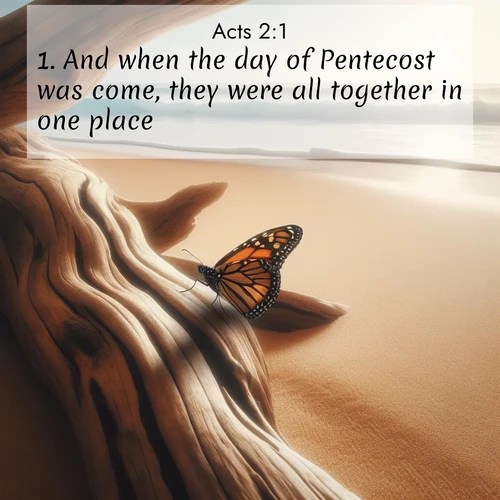 BBE Acts 2:1 overlaying nature image scene: A single monarch butterfly alights on a sun-bleached driftwood log. Waves crash endlessly on the empty beach beyond.;1. And when the day of Pentecost was come, they were all together in one place.