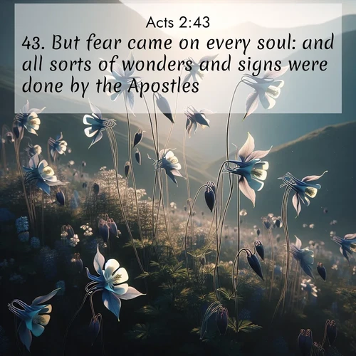 BasicEnglish Acts  ; image nature: image with the bible verse :But fear came on every soul: and all sorts of wonders and signs were done by the Apostles. ; Discover our unique collection of Bible verse images integrated with photos showcasing the majesty of nature, such as rocky mountains, ancient trees, and crystal-clear lakes. These images feature luminous colors and text in varied fonts, reflecting the harmony of God&#039;s creation. Download verses like KJV Acts 2:43. Current verse is overlayed with the thematic nature scene : Wild columbines dance on impossibly thin stems. Mountain breezes carry their perfume. ; 2:43
