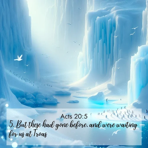 BasicEnglish Acts  ; image nature: image with the bible verse :But these had gone before, and were waiting for us at Troas. ; Explore an inspiring selection of Bible verse images adorned with nature photos, such as starry skies, verdant hills, and golden beaches. Each image reflects the peace and beauty of God&#039;s creation with vibrant colors and varied fonts. Share uplifting verses like KJV Acts 20:5. Current verse is overlayed with the thematic nature scene : Antarctic ice cliffs glow blue in the endless polar day. A penguin colony dots the frozen shore below. ; 20:5
