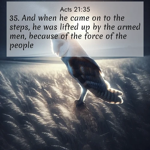 BBE Acts 21:35 overlaying nature image scene: A barn owl quarters silent fields. Moonlight turns meadow grass to silver.;35. And when he came on to the steps, he was lifted up by the armed men, because of the force of the people;