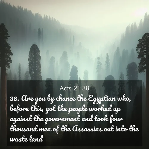 BBE Acts 21:38 overlaying nature image scene: Ancient sequoias pierce through valley fog. Centuries of growth reach for filtered light.;38. Are you by chance the Egyptian who, before this, got the people worked up against the government and took four thousand men of the Assassins out into the waste land?