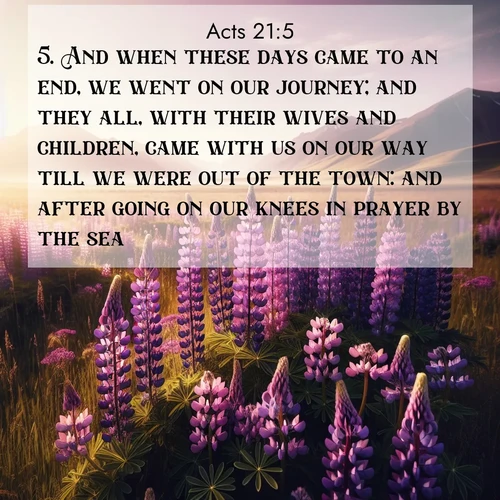 BBE Acts 21:5 overlaying nature image scene: Wild lupines paint purple meadows. Snow lingers on distant peaks.;5. And when these days came to an end, we went on our journey; and they all, with their wives and children, came with us on our way till we were out of the town: and after going on our knees in prayer by the sea,