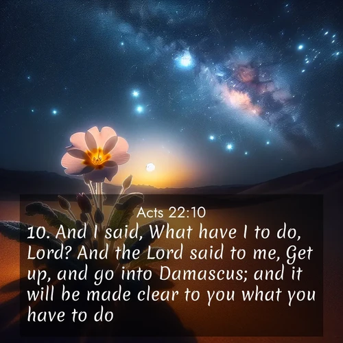 BBE Acts 22:10 overlaying nature image scene: Desert primrose opens to stars. Night wind carries sweet perfume.;10. And I said, What have I to do, Lord? And the Lord said to me, Get up, and go into Damascus; and it will be made clear to you what you have to do.