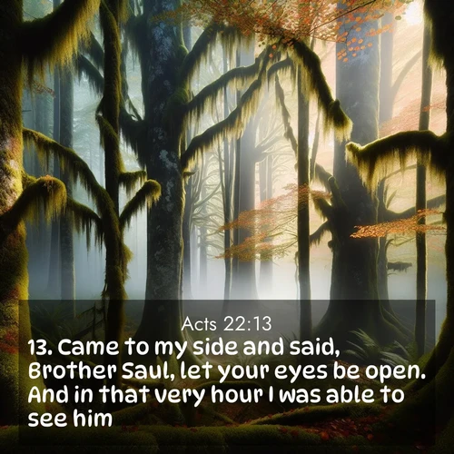 BBE Acts 22:13 overlaying nature image scene: Autumn fog shrouds an old-growth forest draped in moss and lichen.;13. Came to my side and said, Brother Saul, let your eyes be open. And in that very hour I was able to see him.