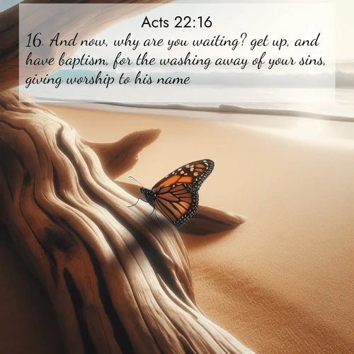 BBE Acts 22:16 overlaying nature image scene: A single monarch butterfly alights on a sun-bleached driftwood log. Waves crash endlessly on the empty beach beyond.;16. And now, why are you waiting? get up, and have baptism, for the washing away of your sins, giving worship to his name.