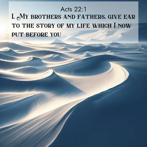 BBE 44 22:1