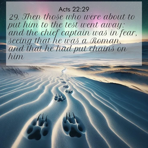 BBE Acts 22:29 overlaying nature image scene: Arctic fox tracks cross windswept tundra. Northern lights pulse overhead in cosmic rhythm.;29. Then those who were about to put him to the test went away: and the chief captain was in fear, seeing that he was a Roman, and that he had put chains on him.