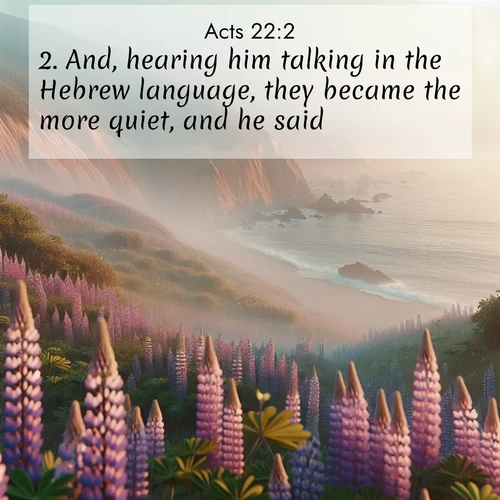 BBE 44 22:2