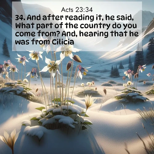 BasicEnglish Acts  ; image nature: image with the bible verse :And after reading it, he said, What part of the country do you come from? And, hearing that he was from Cilicia, ; Discover a unique collection of Bible verses adorned with winter landscapes, such as snow-covered forests, gently falling snowflakes, and pristine mountains. These images evoke the peace and purity of God&#039;s creation. Share verses like KJV Acts 23:34. Current verse is overlayed with the thematic nature scene : Wild columbines nod in alpine breeze. Glacier lilies dot snowy meadows. ; 23:34