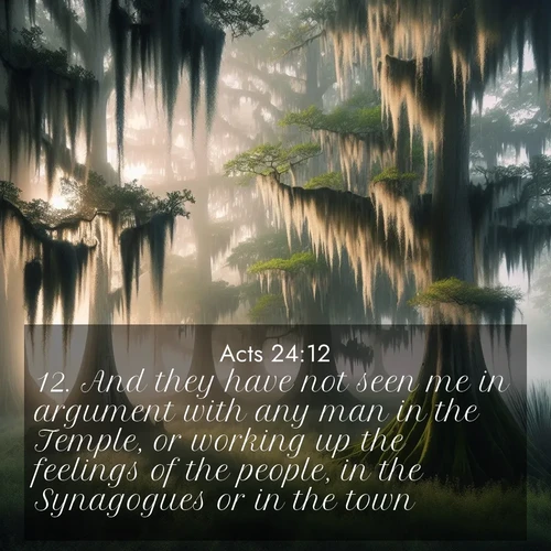 BasicEnglish Acts  ; image nature: image with the bible verse :And they have not seen me in argument with any man in the Temple, or working up the feelings of the people, in the Synagogues or in the town: ; Browse an inspiring gallery of Bible verse images with nature photos, such as blooming gardens, golden deserts, and shaded forests. The chosen images capture the peaceful and joyful essence of God&#039;s creation, with vibrant colors and harmonious fonts. Share verses like KJV Acts 24:12. Current verse is overlayed with the thematic nature scene : Moss-draped cypress trees emerge from morning fog. Spanish moss sways like ancient lace. ; 24:12