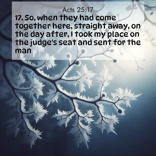 BasicEnglish Acts  ; image nature: image with the bible verse :So, when they had come together here, straight away, on the day after, I took my place on the judge&#039;s seat and sent for the man. ; Explore Bible verses combined with serene beach photos, desert dunes, and infinite skies, highlighting God&#039;s majesty in every landscape. Download and share inspiring verses like KJV Acts 25:17. Current verse is overlayed with the thematic nature scene : Winter frost coats bare branches in delicate crystal. ; 25:17