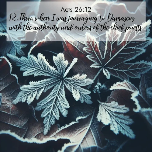 BasicEnglish Acts  ; image nature: image with the bible verse :Then, when I was journeying to Damascus with the authority and orders of the chief priests, ; Browse beautiful Bible verse images accompanied by peaceful scenes like calm seas, ancient forests, and radiant horizons. Download high-quality, free images featuring verses such as KJV Acts 26:12. Current verse is overlayed with the thematic nature scene : Winter frost creates delicate patterns on fallen leaves. ; 26:12