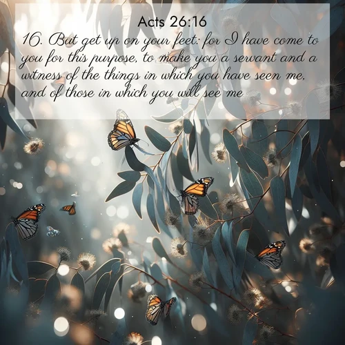 BasicEnglish Acts  ; image nature: image with the bible verse :But get up on your feet: for I have come to you for this purpose, to make you a servant and a witness of the things in which you have seen me, and of those in which you will see me; ; Download inspiring Bible verse images featuring stunning natural vistas, from tropical islands to rolling hills. These free images make perfect wallpapers or gifts. Share verses like KJV Acts 26:16. Current verse is overlayed with the thematic nature scene : Monarch butterflies cluster on eucalyptus branches in winter sun. ; 26:16