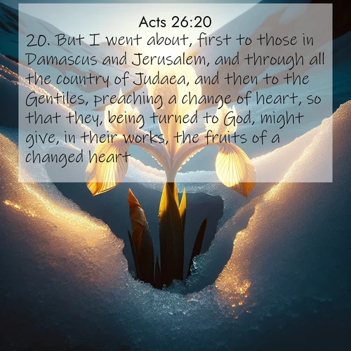 BasicEnglish Acts  ; image nature: image with the bible verse :But I went about, first to those in Damascus and Jerusalem, and through all the country of Judaea, and then to the Gentiles, preaching a change of heart, so that they, being turned to God, might give, in their works, the fruits of a changed heart. ; Browse a large collection of Bible verse images with photos showcasing the splendor of nature. Scenes of peaceful rivers, verdant valleys, and radiant skies enhance the inspiring verses. Each image reflects the serenity and joy of God&#039;s creation, with elegant text fonts. Download and share verses such as KJV Acts 26:20. Current verse is overlayed with the thematic nature scene : Wild iris breaks through melting snow. Alpine light ignites its petals. ; 26:20