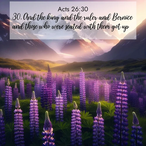 BasicEnglish Acts  ; image nature: image with the bible verse :And the king and the ruler and Bernice and those who were seated with them got up; ; Browse our library of beautiful Bible verse images, perfect for wallpapers or sharing. Each verse is paired with serene natural landscapes like misty mountains, calming beaches, and colorful sunsets. Download and enjoy verses such as KJV Acts 26:30. Current verse is overlayed with the thematic nature scene : Wild lupines paint mountain meadows purple. Snow lingers on distant peaks. ; 26:30
