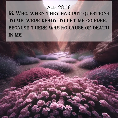 BasicEnglish Acts  ; image nature: image with the bible verse :Who, when they had put questions to me, were ready to let me go free, because there was no cause of death in me. ; Browse beautiful Bible verse images accompanied by peaceful scenes like calm seas, ancient forests, and radiant horizons. Download high-quality, free images featuring verses such as KJV Acts 28:18. Current verse is overlayed with the thematic nature scene : Desert verbena carpets hidden canyons. Flash flood waters carved these gardens. ; 28:18