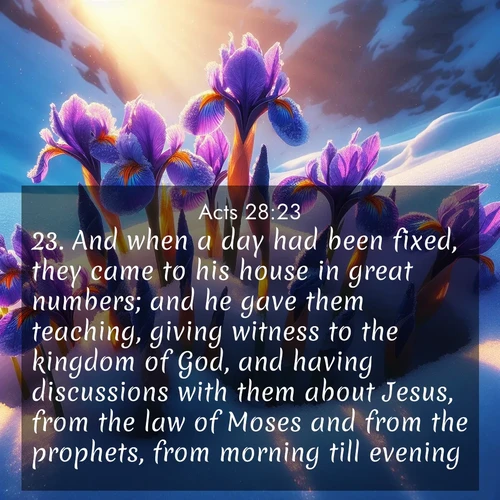 BasicEnglish Acts  ; image nature: image with the bible verse :And when a day had been fixed, they came to his house in great numbers; and he gave them teaching, giving witness to the kingdom of God, and having discussions with them about Jesus, from the law of Moses and from the prophets, from morning till evening. ; Dive into our collection of Bible verse images beautifully illustrated with beach photos, featuring gentle waves, sunsets over the sea, and sandy shores. These scenes evoke the peace and majesty of God. Download and share inspiring verses like KJV Acts 28:23. Current verse is overlayed with the thematic nature scene : Wild iris blooms pierce through melting snow. Alpine sunlight ignites their petals. ; 28:23