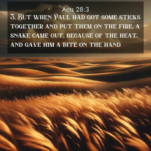 BasicEnglish Acts  ; image nature: image with the bible verse :But when Paul had got some sticks together and put them on the fire, a snake came out, because of the heat, and gave him a bite on the hand. ; Explore a stunning collection of Bible verse images featuring picturesque scenery like sun-drenched meadows, tranquil lakes, and majestic forests. All images are free to download and share. Verses include KJV Acts 28:3. Current verse is overlayed with the thematic nature scene : Prairie grass waves like a golden ocean. Storm clouds build towers on the horizon. ; 28:3