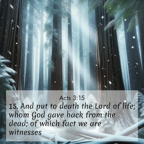 BasicEnglish Acts  ; image nature: image with the bible verse :And put to death the Lord of life; whom God gave back from the dead; of which fact we are witnesses. ; Browse an inspiring gallery of Bible verse images with nature photos, such as blooming gardens, golden deserts, and shaded forests. The chosen images capture the peaceful and joyful essence of God&#039;s creation, with vibrant colors and harmonious fonts. Share verses like KJV Acts 3:15. Current verse is overlayed with the thematic nature scene : Snow falls silently on ancient redwoods. Shafts of light pierce through to illuminate the forest floor. ; 3:15