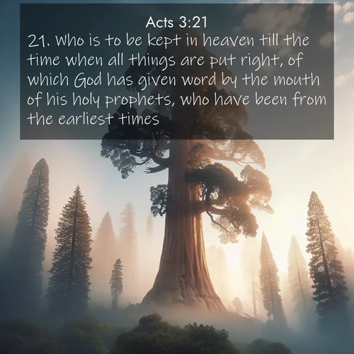 BasicEnglish Acts  ; image nature: image with the bible verse :Who is to be kept in heaven till the time when all things are put right, of which God has given word by the mouth of his holy prophets, who have been from the earliest times. ; Explore an inspiring selection of Bible verse images adorned with nature photos, such as starry skies, verdant hills, and golden beaches. Each image reflects the peace and beauty of God&#039;s creation with vibrant colors and varied fonts. Share uplifting verses like KJV Acts 3:21. Current verse is overlayed with the thematic nature scene : A giant sequoia reaches through morning fog. Centuries of growth stretch skyward in silent majesty. ; 3:21